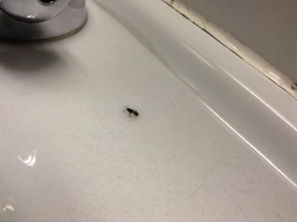 Spricht für sich, oder Jugendgästehaus Brigittenau