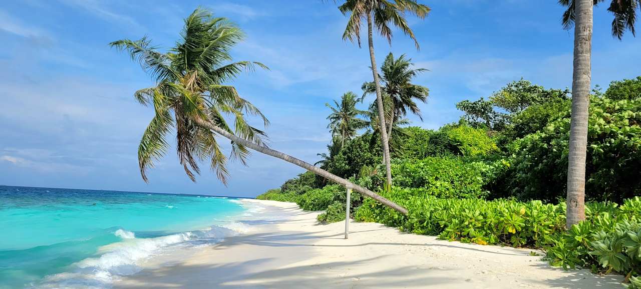 Strand Reethi Faru Resort