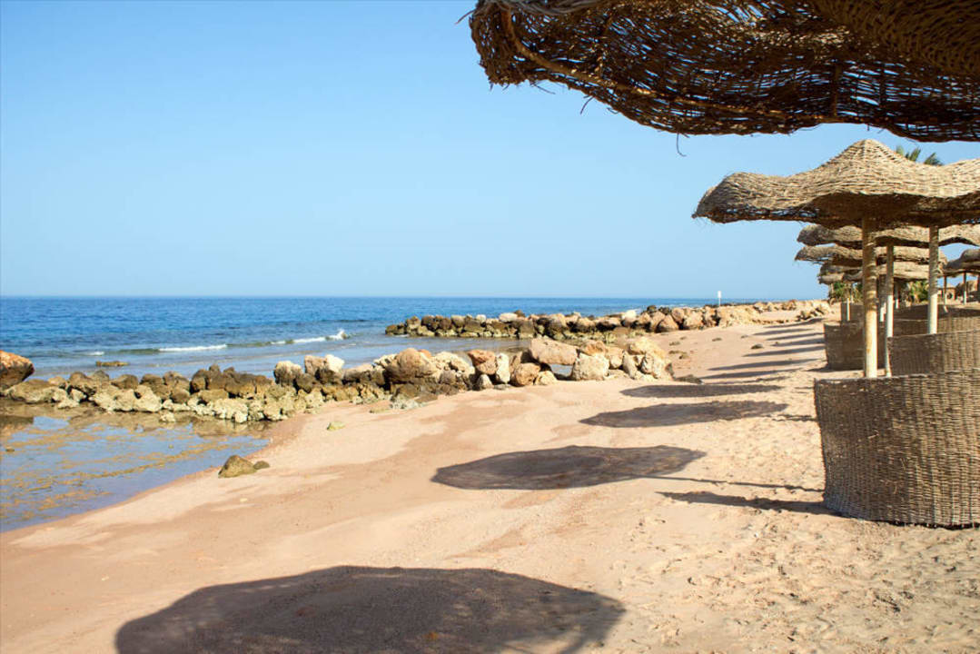 Strand  Pickalbatros Citadel Resort