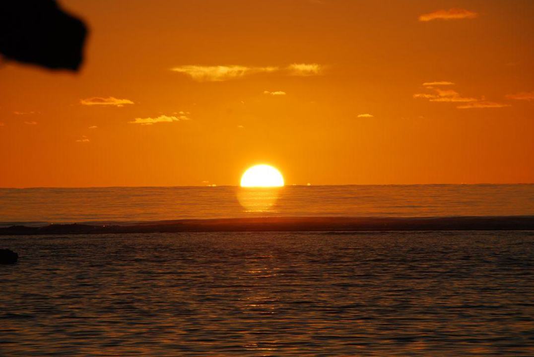 Aussicht von der Bar und den Studios! Hotel Aro'a Beachside Inn