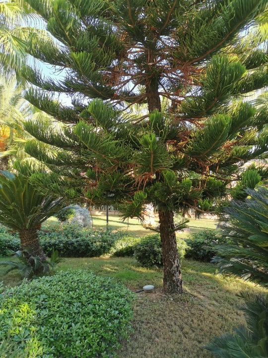Gartenanlage Paloma Oceana