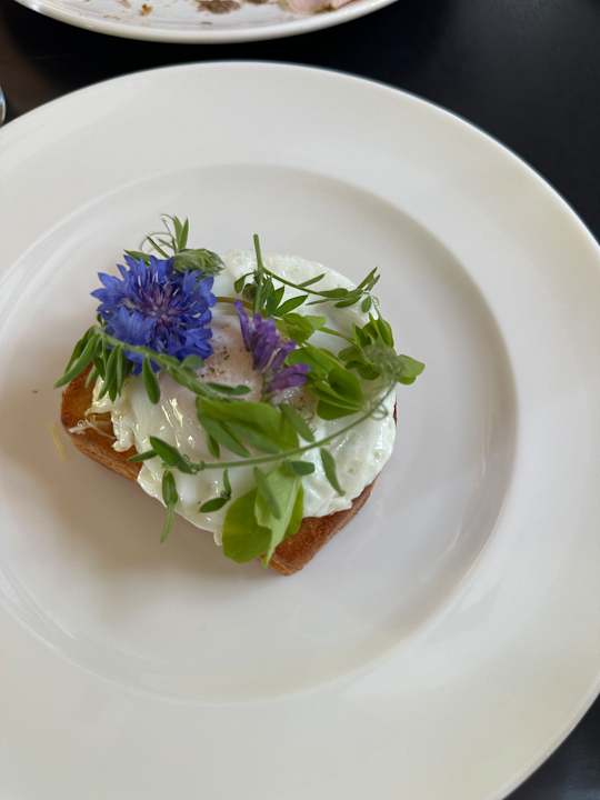 Gastro Hotel Dwór Sanna