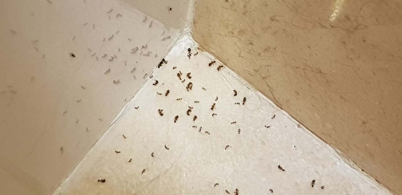 Zimmer Hotel Riu Palace Jandia