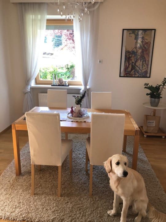 Zimmer MILLIEs hosting - Familienurlaub mit Hund in Kärnten