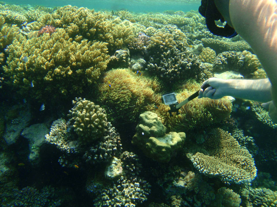 Strand Lahami Bay Beach Resort