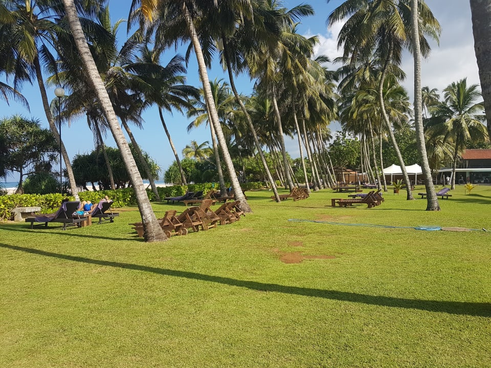 Gartenanlage Thaala Bentota