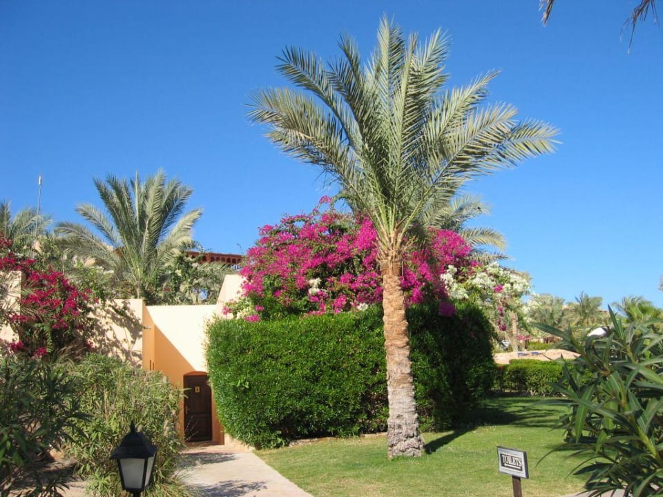 Toiletten am Strand Steigenberger Coraya Beach - Adults only