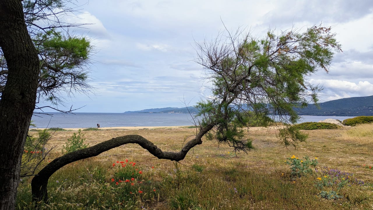 Strand Hotel Club Belambra Arena Bianca