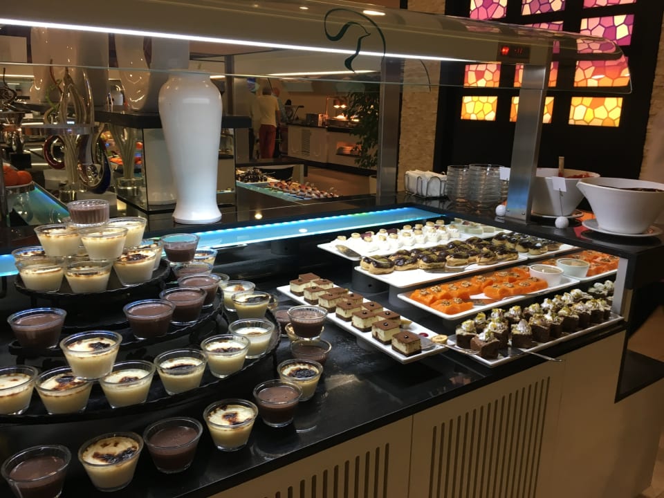 Gastro Paloma Oceana