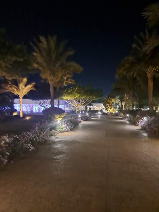 Gartenanlage Desert Rose