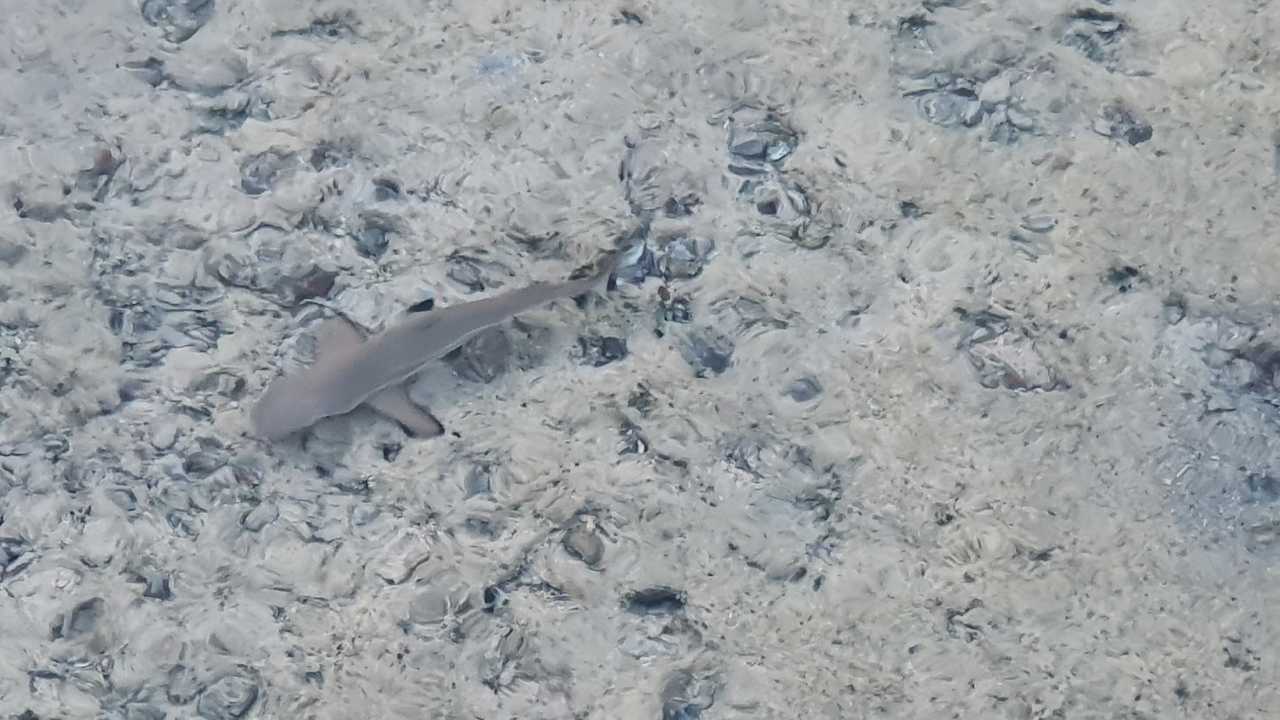 Strand Pickalbatros Villaggio Resort - Portofino