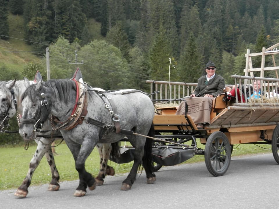 Eine Fahrt mit dem Heuwagen -  buchbar im Haus Ferienpension Christl