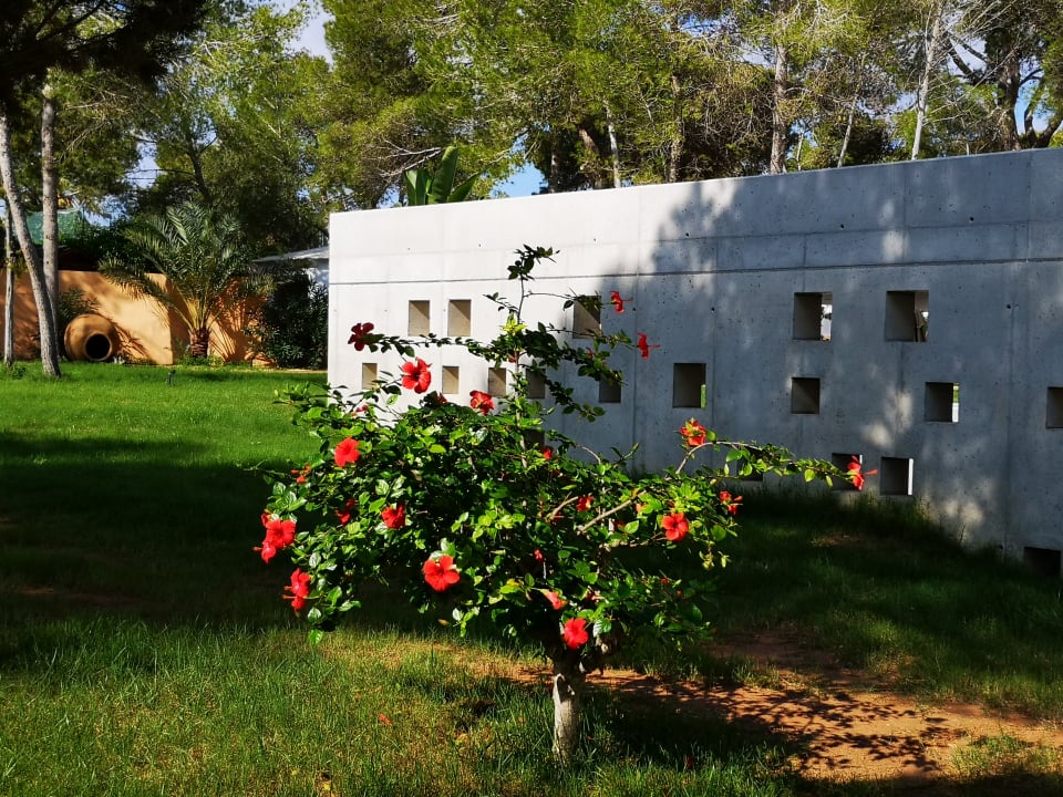 Gartenanlage Els Pins Resort & Spa