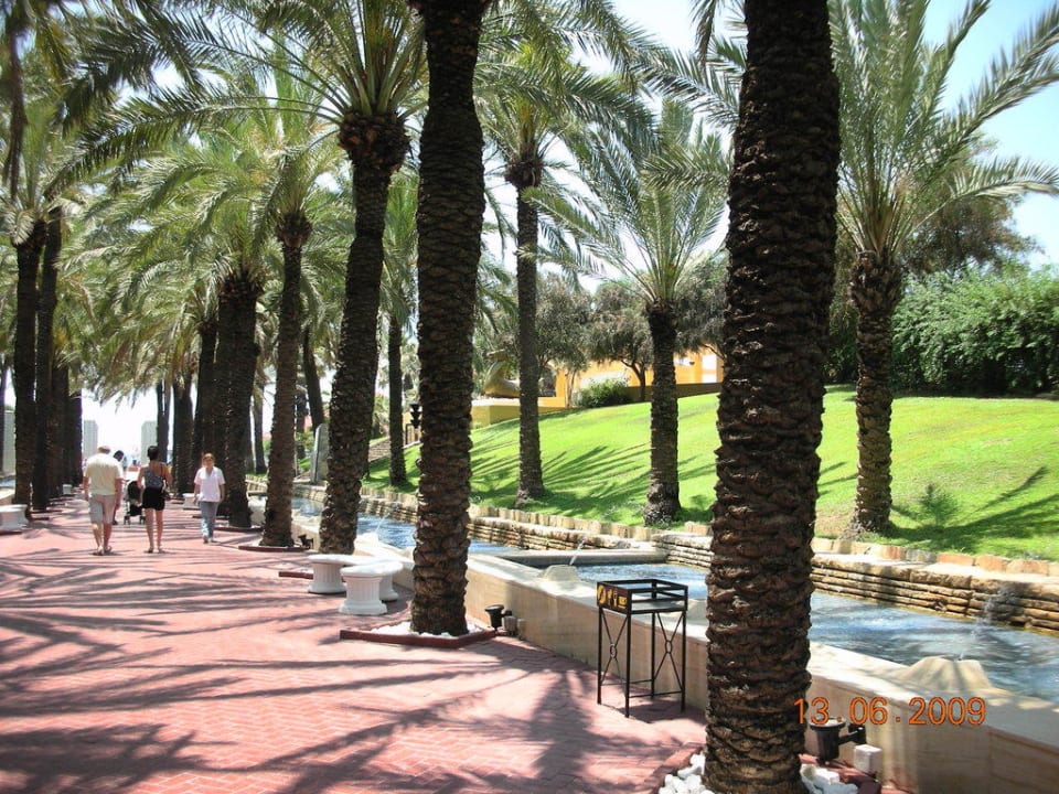 Palmengalerie (zum Strand) Monachus Family Resort Sorgun