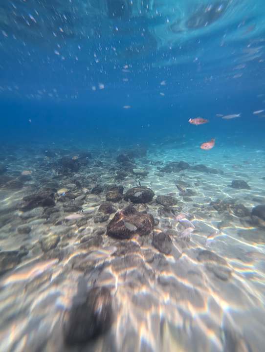 Strand Club Resort Atlantis