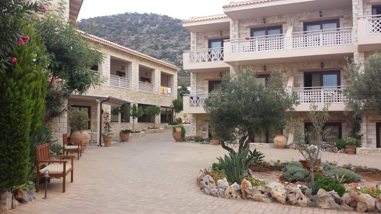 Innenhof Cactus Royal