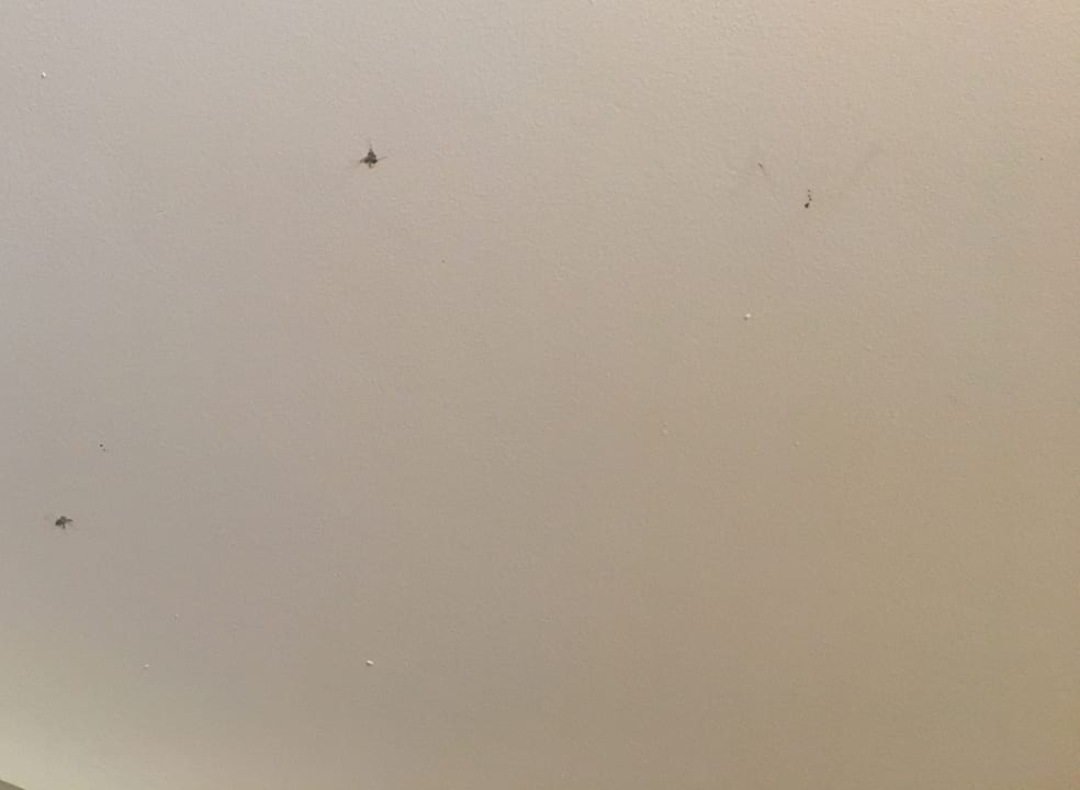 Zimmer Istanbul Golden City Hotel