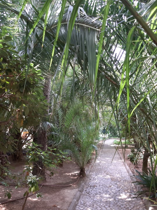 Gartenanlage Lago Garden