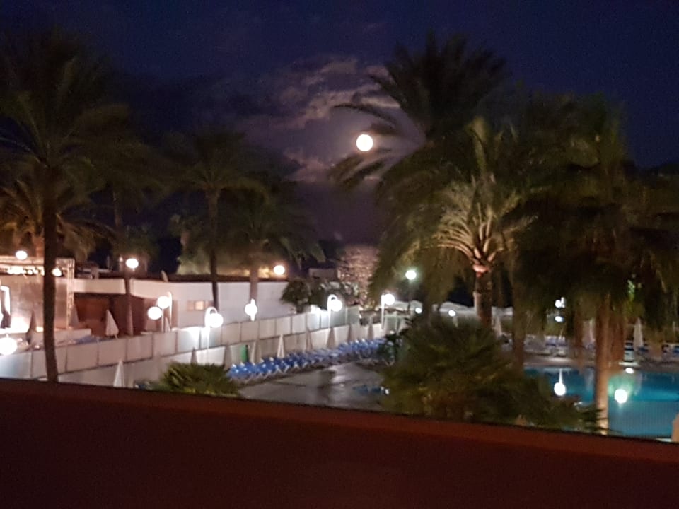 Ausblick Aparthotel Playa Dorada