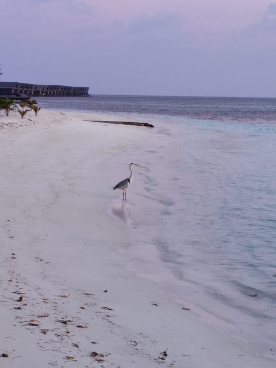 Strand Adaaran Select Hudhuran Fushi - Premium All Inclusive