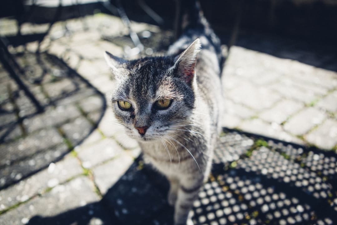 Sonstiges Ferienhof Gut Ummersberg