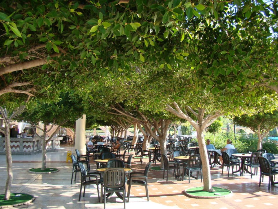 Бар Limak Limra Hotel & Resort