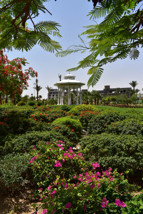 Gartenanlage Steigenberger ALDAU Beach Hotel