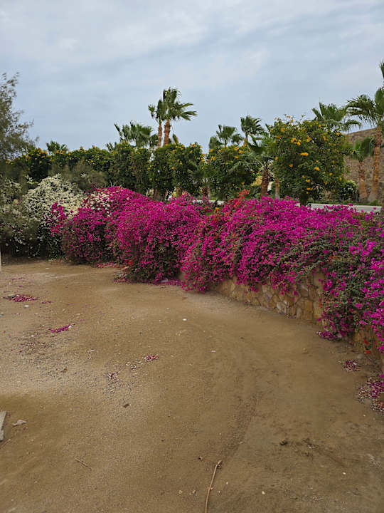 Gartenanlage Brayka Bay Resort