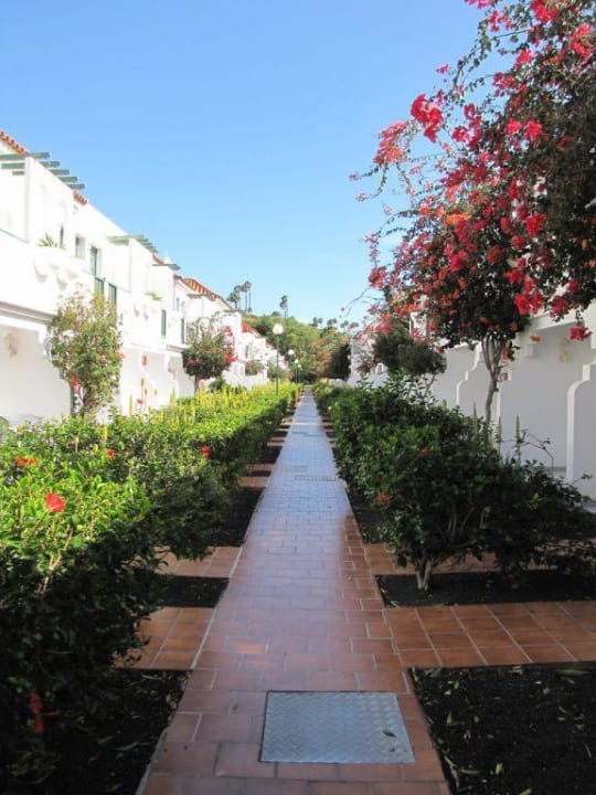 Gang zwischen den Bungalows Bungalows Vistaflor