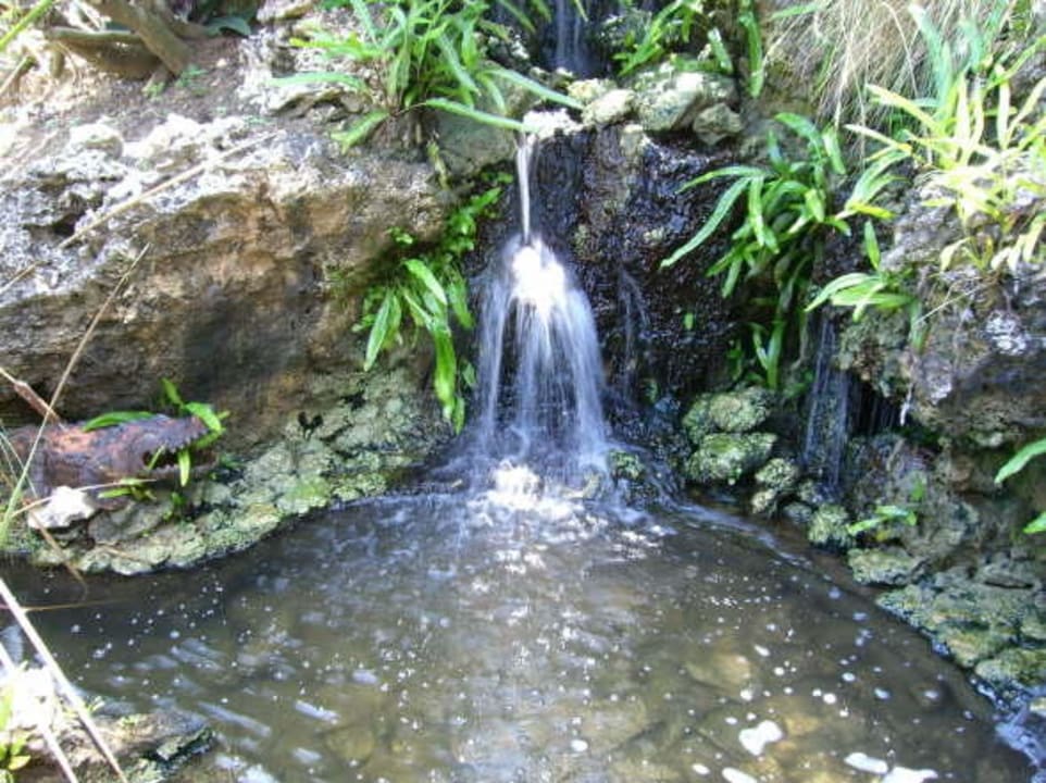 Kleine Wasserquelle mit Wasserfall und Fische Bahari Beach Hotel