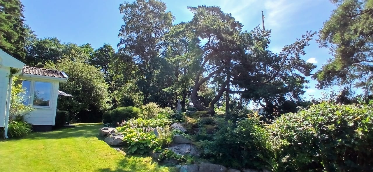 Gartenanlage SveVilla - Ferienhaus Tolkensee am See