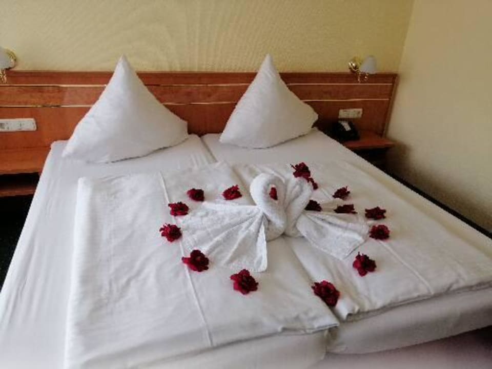 Zimmer Moselstern Hotel Brixiade & Triton