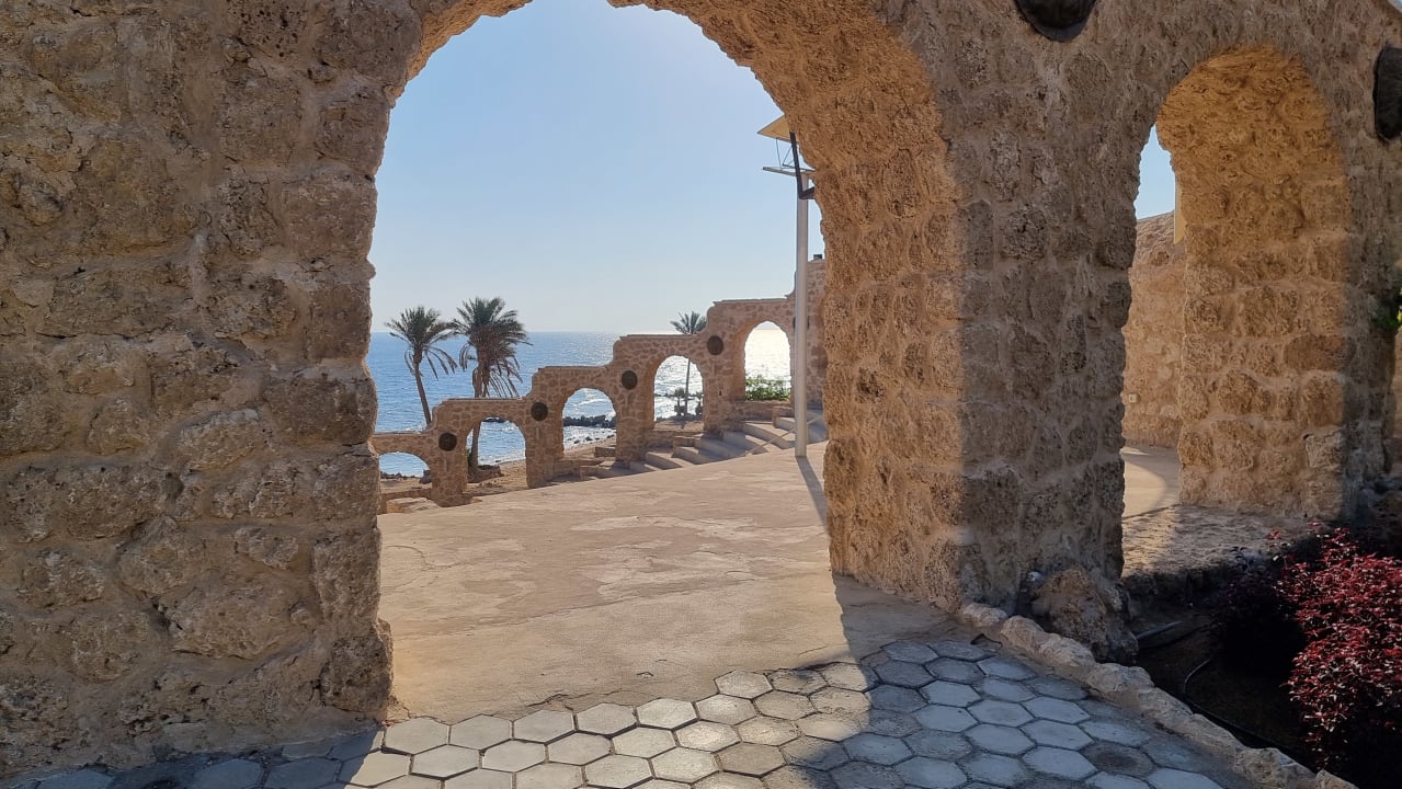 Ausblick Pickalbatros Citadel Resort