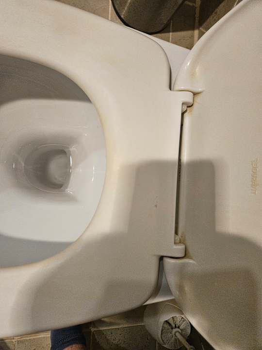 Zimmer Coral Sun Beach