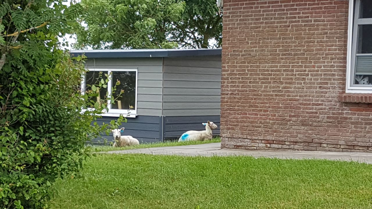 Gartenanlage Ferienhaus Hemenswarft direkt an der Nordsee mit Meerblick