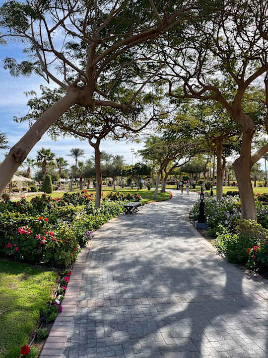 Gartenanlage Steigenberger ALDAU Beach Hotel