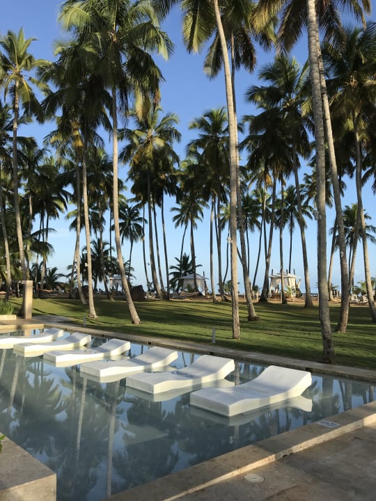 Pool Viva V Samana by Wyndham – Adults Only