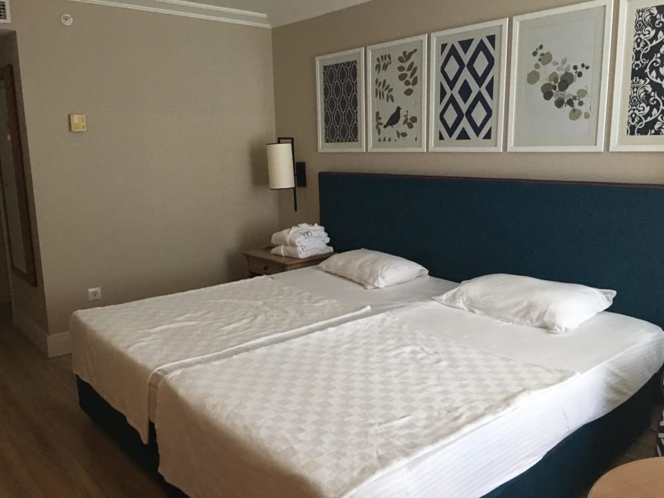 Zimmer IC Hotels Green Palace