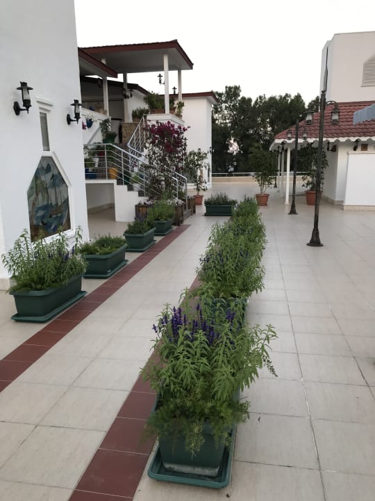 Sonstiges Pirate's Beach Club