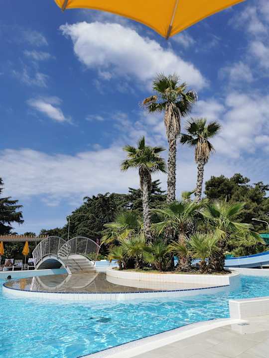 Pool Valamar Parentino Hotel