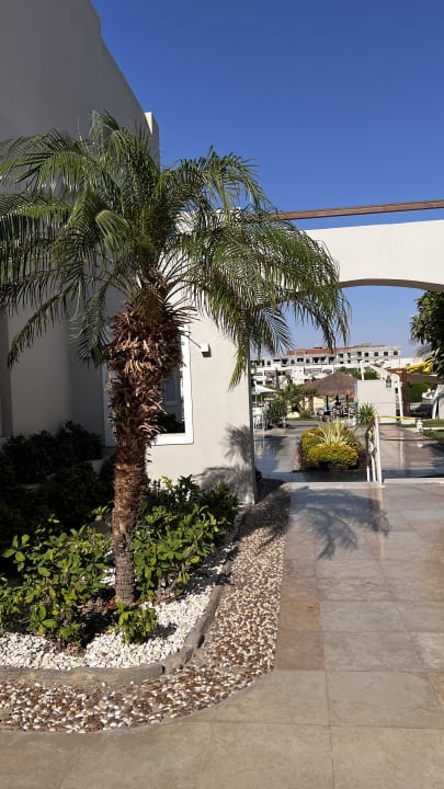 Außenansicht Iberotel Casa Del Mar Resort