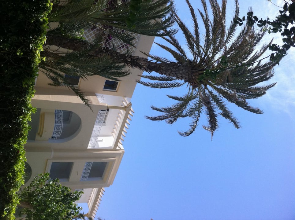 Ausblick aus Zimmer zum Pool TUI MAGIC LIFE Africana