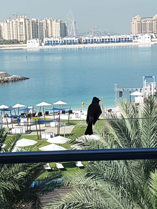 Ausblick Rixos The Palm Hotel & Suites