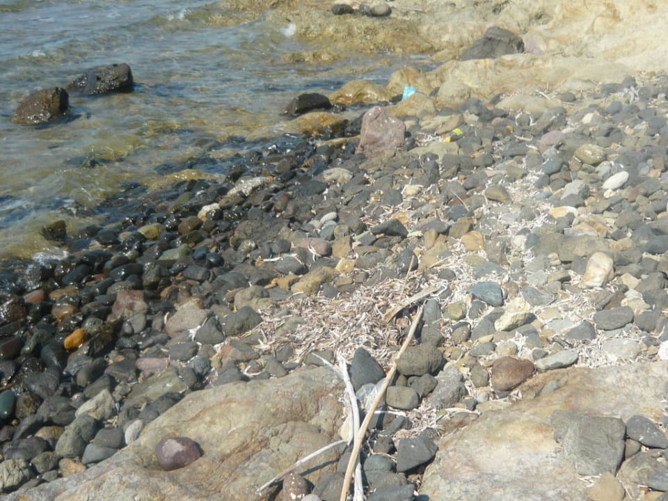 Pláž u hotelu Hotel Panselinos