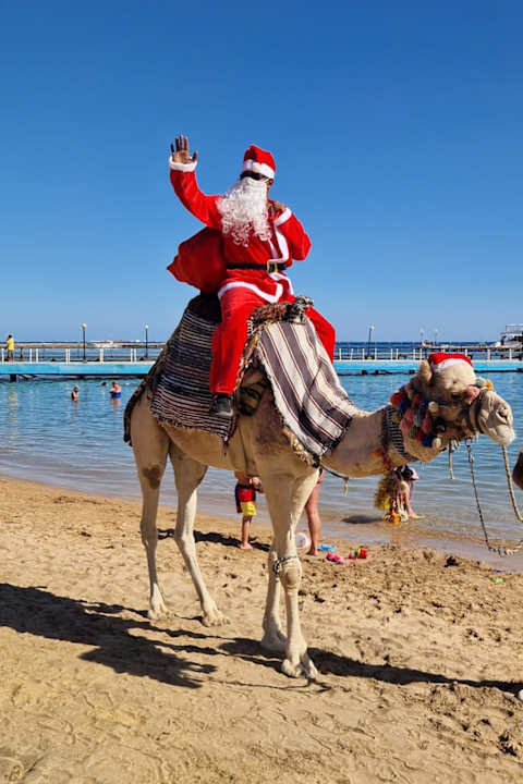 Sport & Freizeit Amarina Abu Soma Resort & Aquapark