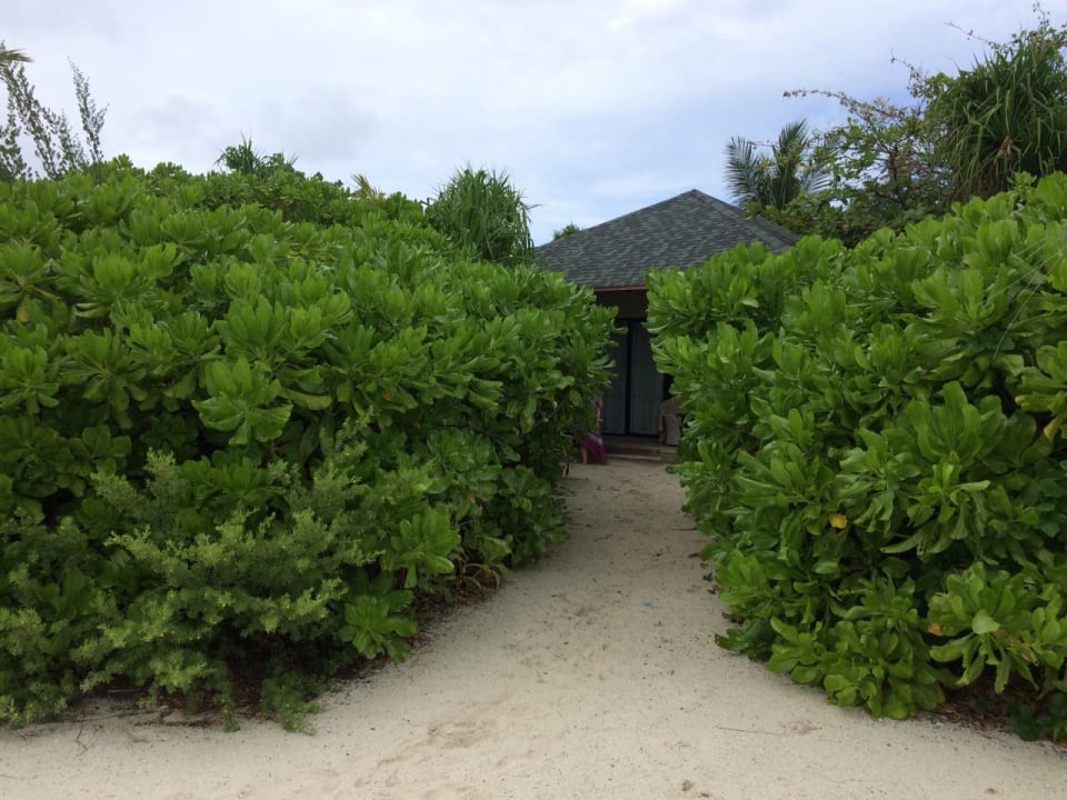 Gartenanlage NH Collection Maldives Havodda Resort