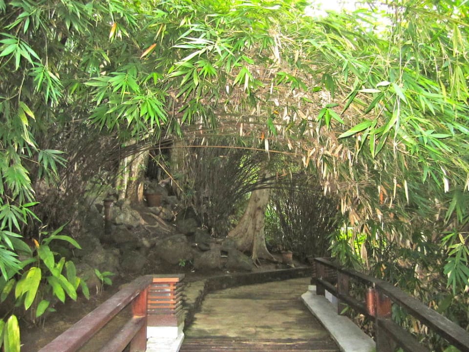 Weg zu den Bungalows Hotel Minahasa Lagoon