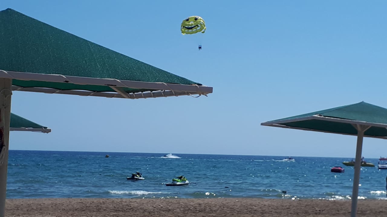 Strand Paloma Oceana