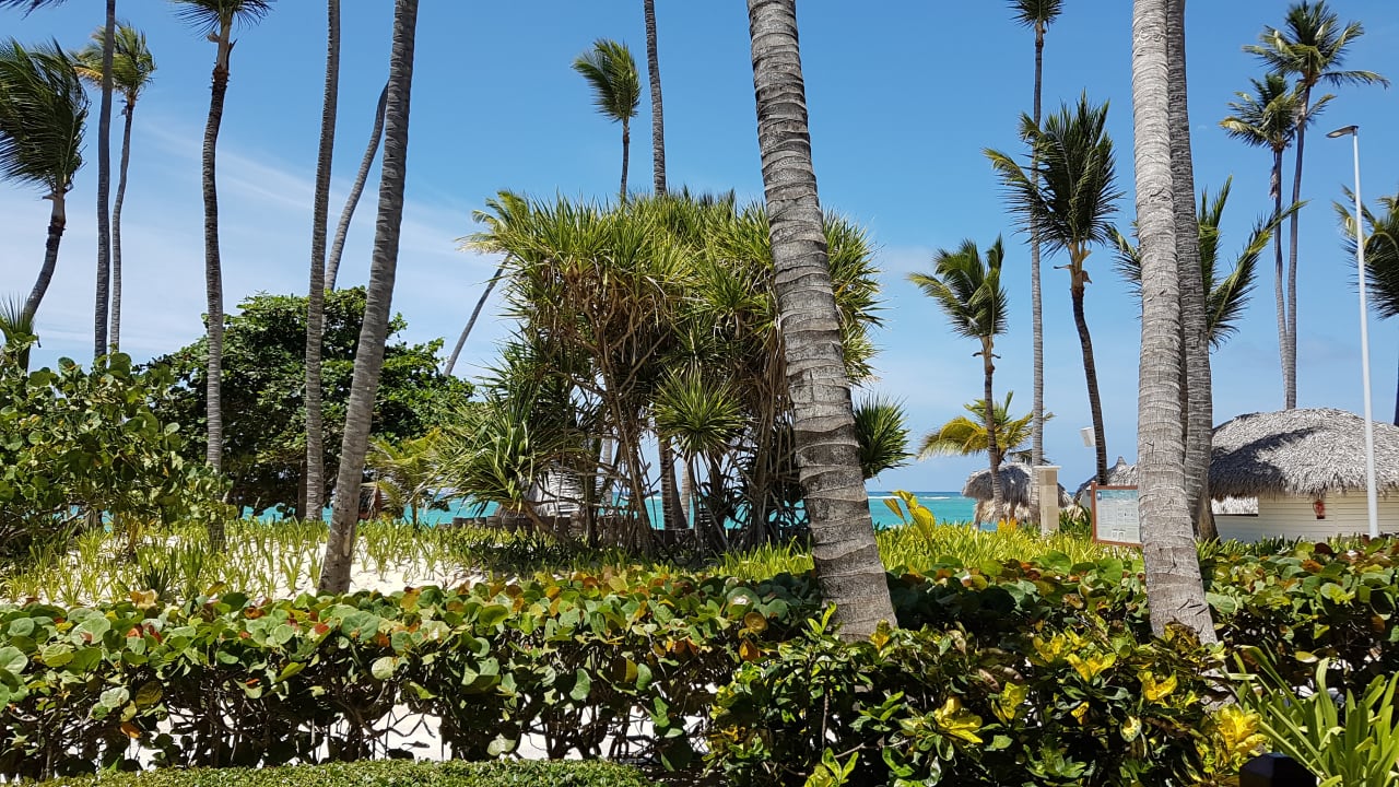 Ausblick TRS Turquesa Hotel - Adults only