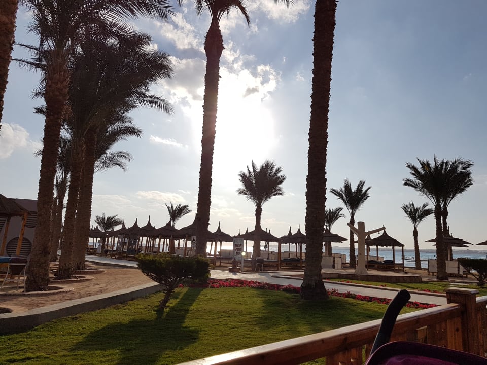 Strand Beach Albatros Resort
